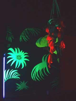 UV jungle